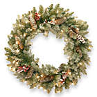 Alternate image 0 for National Tree Dunhill 24-Inch Fir Pre-Lit Wreath