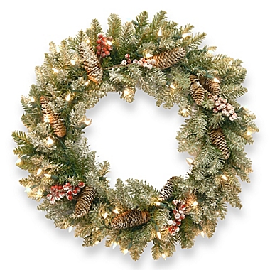 National Tree Dunhill 24-Inch Fir Pre-Lit Wreath. View a larger version of this product image.