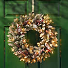 Alternate image 1 for National Tree Dunhill 24-Inch Fir Pre-Lit Wreath