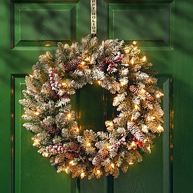 National Tree Dunhill 24-Inch Fir Pre-Lit Wreath. View a larger version of this product image.