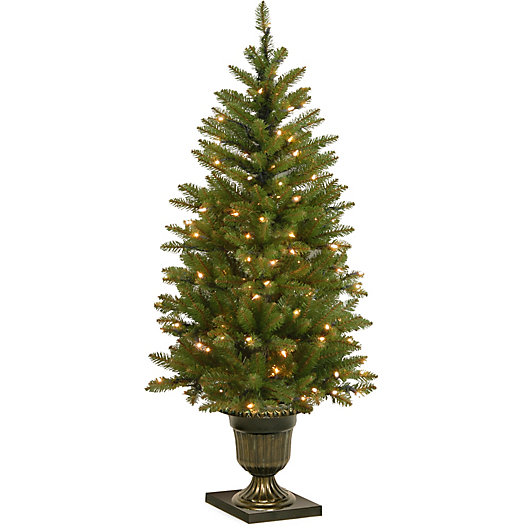 Alternate image 1 for National Tree 4-Foot Dunhill Fir Pre-Lit Entrance Christmas Tree with Clear Lights