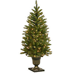 National Tree 4-Foot Dunhill Fir Pre-Lit Entrance Christmas Tree with Clear Lights