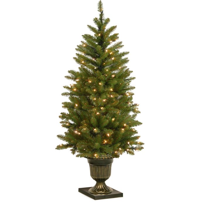 National Tree 4 Foot Dunhill Fir Pre Lit Entrance Christmas