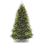 Alternate image 0 for National Tree Dunhill Fir Christmas Tree