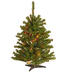 National Tree 3-Foot Eastern Spruce Christmas Tree with Multi-Colored Lights