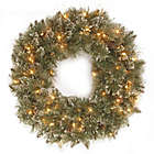 Alternate image 0 for National Tree Company Glittery Bristle Pine Pre-Lit Oval Wreath with Warm White Lights