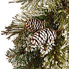 Alternate image 2 for National Tree Company 6-Foot 10-Inch Glittery Bristle Pine Garland