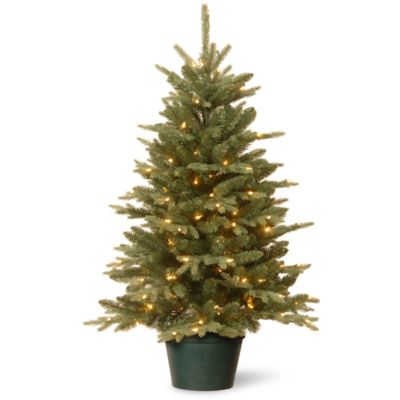 National Tree 3-Foot Everyday Collections Pre-Lit Artificial Christmas Tree with Clear Lights