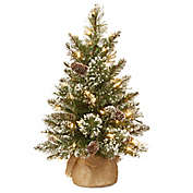 National Tree Company 2-Ft Pre-Lit Glittery Bristle Pine Christmas Tree w/ LED Lights