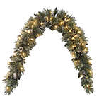 Alternate image 0 for National Tree Company 6-Foot Pre-Lit Glittery Bristle Pine Mantle Swag with Clear Lights