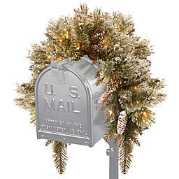 National Tree Company 3-Foot Pre-Lit Glittery Bristle Pine Mailbox Swag with LED Lights