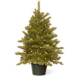 National Tree 3-Foot Hampton Spruce Pre-Lit Christmas Tree with Clear Lights in Growers Pot