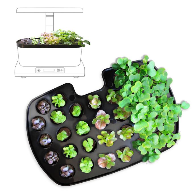 miracle gro aerogarden liquid plant food