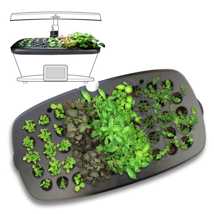 miracle-gro aerogarden harvest reviews