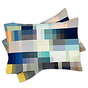 Deny Designs Mareike Boehmer Nordic Combination 30 Standard Pillow Shams (Set of 2)