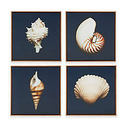 Madison Park Ocean Seashells 12-Inchx 12-Inch Framed Canvas Wall Art (Set of 4)