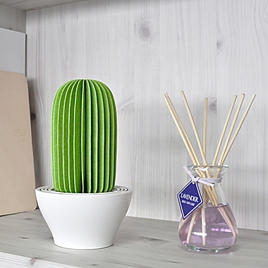 Cactus Non-Electric Personal Humidifier in Light Green. View a larger version of this product image.