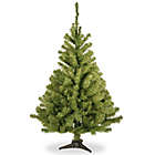 Alternate image 0 for National Tree Company 4-Foot Kincaid Spruce Christmas Tree