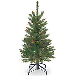 National Tree Company Kingswood 3-Foot Pre-Lit Fir Christmas Tree with Clear Lights