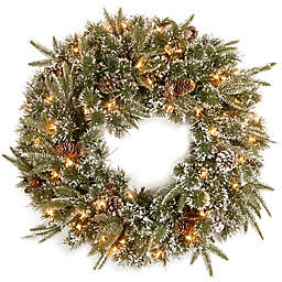 National Tree Company 24-Inch Liberty Pine Pre-Lit Wreath with Clear Lights