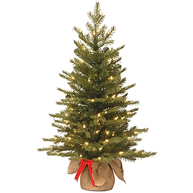 National Tree 3-Foot Nordic Spruce Battery-Operated Pre-Lit Christmas Tree with Warm White Lights. View a larger version of this product image.