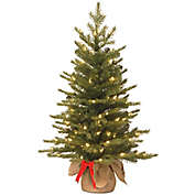 National Tree 3-Foot Nordic Spruce Battery-Operated Pre-Lit Christmas Tree with Warm White Lights