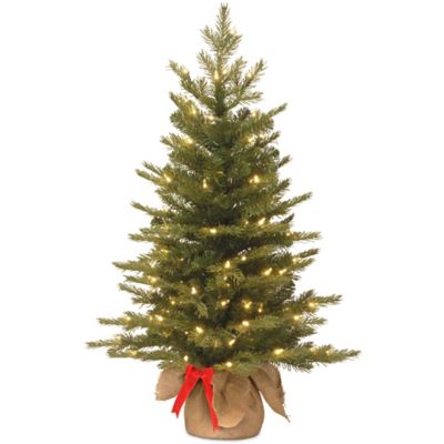 National Tree 3-Foot Nordic Spruce Battery-Operated Pre-Lit Christmas Tree with Warm White 