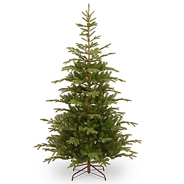 National Tree Company 7.5-Foot Norwegian Spruce Christmas Tree. View a larger version of this product image.