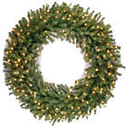Alternate image 0 for National Tree Company 48-Inch Pre-Lit Norwood Fir Wreath with Warm White LED Lights