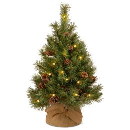 Decorative Indoor Pine Trees Bed Bath Beyond