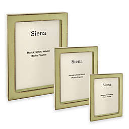 Siena Distressed Deep Profile Wood Picture Frame in Mint