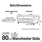 Alternate image 12 for Enchanted Home Velvet Tufted Manchester Pet Sofa in Grey