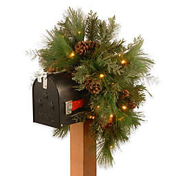 National Tree Company 36-Inch White Pine Pre-Lit Mailbox Swag with Warm White Lights
