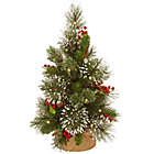 Alternate image 0 for 18" Wintry Pine Pre-Lit Christmas Tree with Battery-Operated Warm White LED Lights