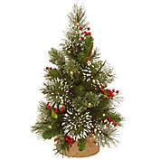 18" Wintry Pine Pre-Lit Christmas Tree with Battery-Operated Warm White LED Lights