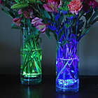 Alternate image 0 for Multi-Color Submersible Battery Operated LED Lights with Remote Control (Set of 2)