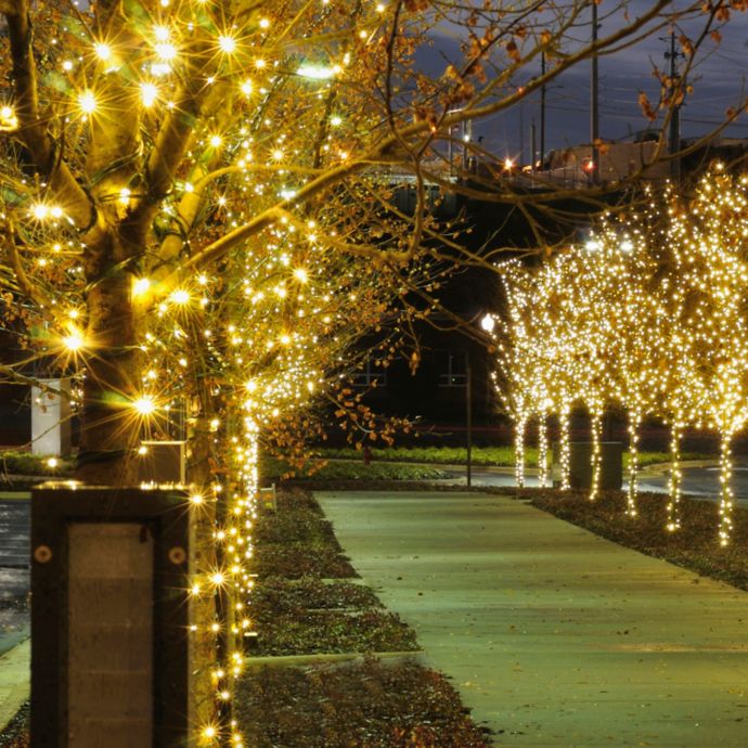 100 Mini SolarPowered String Lights in Cool White Bed Bath & Beyond