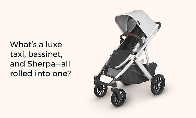 What’s a luxe taxi, bassinet, and Sherpa— all rolled into one?