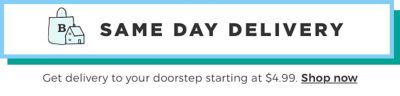 toys delivery same day