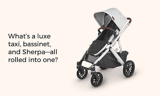 What’s a luxe taxi, bassinet, and Sherpa—all rolled into one?