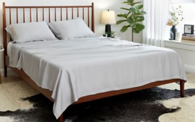 paw perfect bed bath and beyond