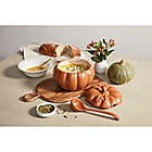 Alternate image 1 for Bee & Willow&trade; Large Pumpkin 100 oz. Soup Tureen with Ladle in Orange