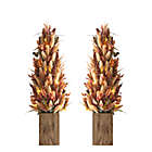 Alternate image 0 for Bee & Willow&trade; 3-Foot Heather Pre-Lit Porch Trees (Set of 2)