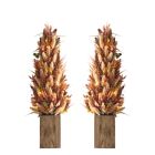 Alternate image 0 for Bee & Willow&trade; 3-Foot Heather Pre-Lit Porch Trees (Set of 2)