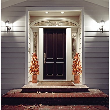 Bee & Willow&trade; 3-Foot Heather Pre-Lit Porch Trees (Set of 2). View a larger version of this product image.