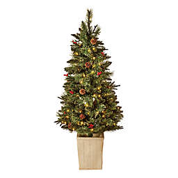 Bee & Willow™ 5-Foot Classic Pre-Lit Porch Christmas Tree in Green