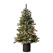 Bee &amp; Willow&trade; 5-Foot Pre-Lit Potted Faux Balsam Fir Christmas Tree with Clear Lights