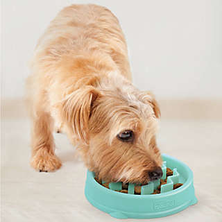 Dog Bowls & Food Storage