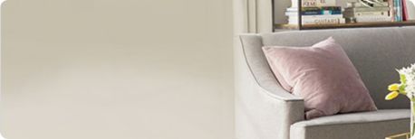 Shop Throw Pillows