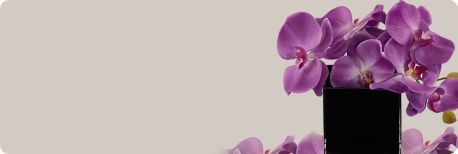 Shop Artificial Plants & Flowers